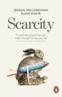 Scarcity : Why having too little means so much - eBook
