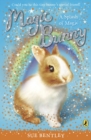 Magic Bunny: A Splash of Magic - eBook