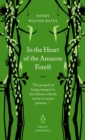 In the Heart of the Amazon Forest - eBook