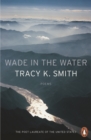 Wade in the Water - eBook