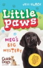 Little Paws 2: Meg's Big Mystery - eBook