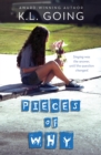 Pieces of Why - eBook