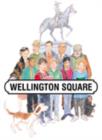 Wellington Square Level 2 Non-Fiction Set (4) - Book