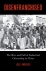 Disenfranchised : The Rise and Fall of Industrial Citizenship in China - eBook