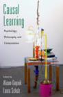 Causal Learning : Psychology, Philosophy, and Computation - eBook