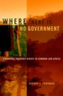 Where There is No Government : Enforcing Property Rights in Common Law Africa - eBook