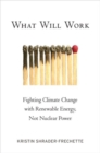 What Will Work : Fighting Climate Change with Renewable Energy, Not Nuclear Power - Book