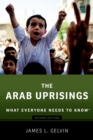 The Arab Uprisings : What Everyone Needs to Know? - eBook