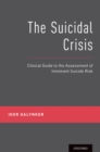 The Suicidal Crisis : Clinical Guide to the Assessment of Imminent Suicide Risk - eBook