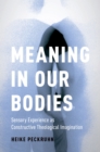 Meaning in Our Bodies : Sensory Experience as Constructive Theological Imagination - eBook