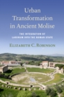 Urban Transformation in Ancient Molise : The Integration of Larinum into the Roman State - eBook