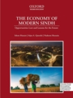 The Economy of Modern Sindh : Opportunities Lost and Lessons for the Future - Book