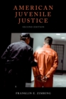 American Juvenile Justice - eBook