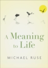 A Meaning to Life - Book