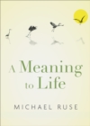 A Meaning to Life - eBook