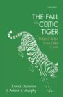 The Fall of the Celtic Tiger : Ireland and the Euro Debt Crisis - eBook