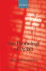 The Phonology of Polish - eBook