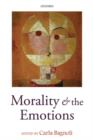 Morality and the Emotions - eBook
