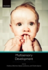Multisensory Development - eBook
