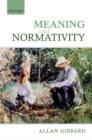Meaning and Normativity - eBook