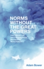 Norms Without the Great Powers : International Law and Changing Social Standards in World Politics - eBook