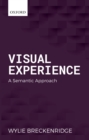Visual Experience : A Semantic Approach - eBook