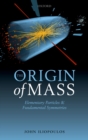The Origin of Mass : Elementary Particles and Fundamental Symmetries - eBook