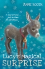 Lucy's Magical Surprise - Book