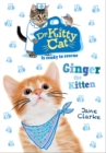 Dr KittyCat is ready to rescue: Ginger the Kitten - Book