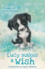 Lucy Makes a Wish - Book