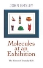 Molecules at an Exhibition : Portraits of Intriguing Materials in Everyday Life - Book