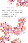Positive Obligations under the European Convention on Human Rights : Within and Beyond Boundaries - eBook