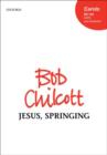 Jesus, Springing - Book