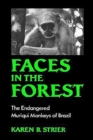 Faces in the Forest : The Endangered Muriqui Monkeys of Brazil - Book