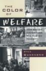 The Color of Welfare : How Racism Undermined the War on Poverty - Book