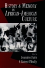 History and Memory in African-American Culture - Book