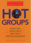 Hot Groups : Seeding Them, Feeding Them, and Using Them to Ignite Your Organization - Book