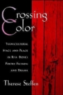Crossing Color : Transcultural Space and Place in Rita Dove's Poetry, Fiction, and Drama - Book