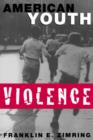 American Youth Violence - Book
