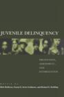 Juvenile Delinquency : Prevention, assessment, and intervention - Book
