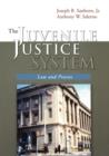 The Juvenile Justice System : Law and Process - Book