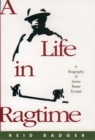 A Life in Ragtime : A Biography of James Reese Europe - eBook