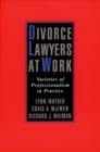 Divorce Lawyers at Work : Varieties of Professionalism in Practice - eBook