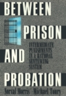Between Prison and Probation : Intermediate Punishments in a Rational Sentencing System - eBook