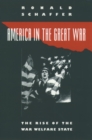 America in the Great War : The Rise of the War Welfare State - eBook