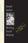 Writing Social History - Book