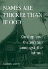Names are Thicker than Blood : Kinship and Ownership amongst the Iatmul - Book