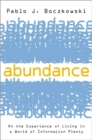 Abundance : On the Experience of Living in a World of Information Plenty - Book