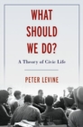 What Should We Do? : A Theory of Civic Life - Book