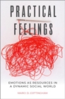 Practical Feelings : Emotions as Resources in a Dynamic Social World - Book